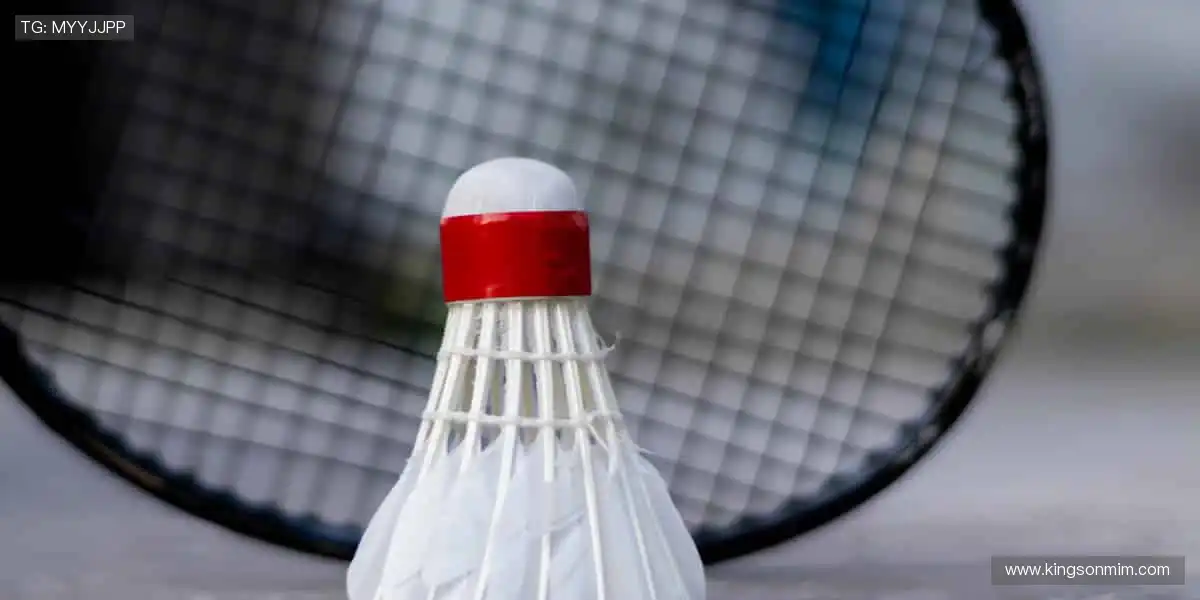 📺高清直播，每一个进球都让你身临其境！🏀